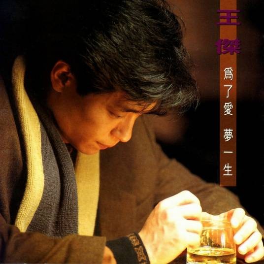 为了爱梦一生（1991年发行王杰第7张普通话专辑）