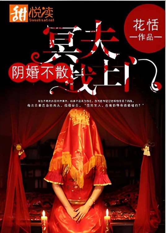 阴婚不散：冥夫找上门（花恬的网络小说）
