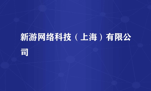 新游网络科技（上海）有限公司