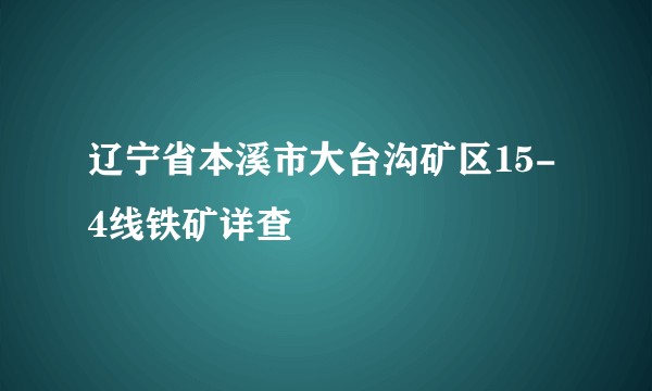辽宁省本溪市大台沟矿区15-4线铁矿详查