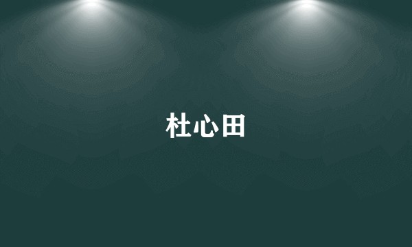 杜心田