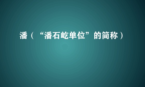 潘（“潘石屹单位”的简称）
