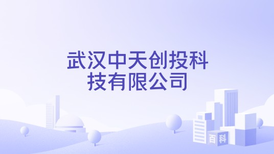 武汉中天创投科技有限公司