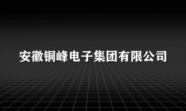 安徽铜峰电子集团有限公司