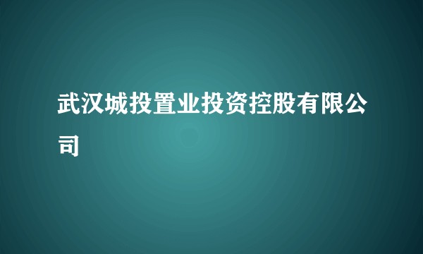 武汉城投置业投资控股有限公司