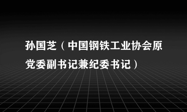 孙国芝（中国钢铁工业协会原党委副书记兼纪委书记）