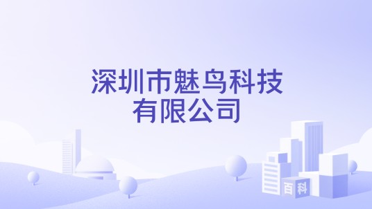 深圳市魅鸟科技有限公司
