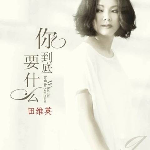 一切都会过去（田维英演唱歌曲）