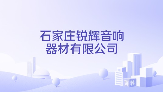 石家庄锐辉音响器材有限公司