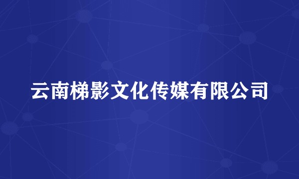 云南梯影文化传媒有限公司