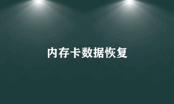 内存卡数据恢复