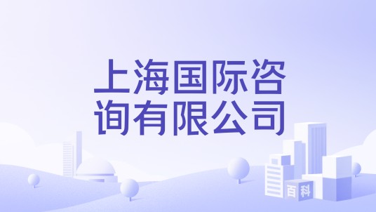 上海国际咨询有限公司