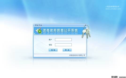 政府信息系统