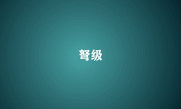 弩级