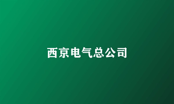 西京电气总公司