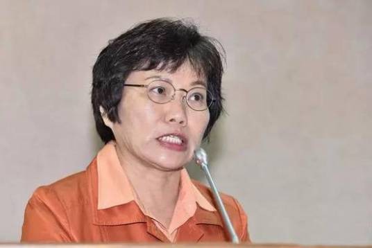 刘世芳（“台独”顽固分子，中国台湾内务主管部门负责人）