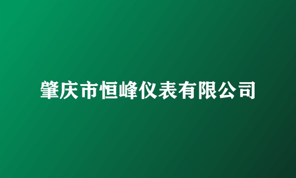 肇庆市恒峰仪表有限公司