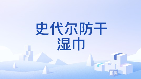 史代尔防干湿巾