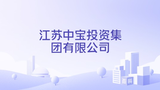 江苏中宝投资集团有限公司