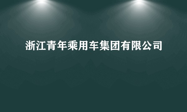 浙江青年乘用车集团有限公司