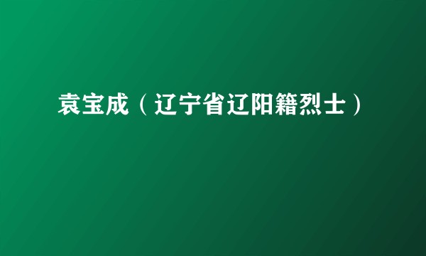 袁宝成（辽宁省辽阳籍烈士）