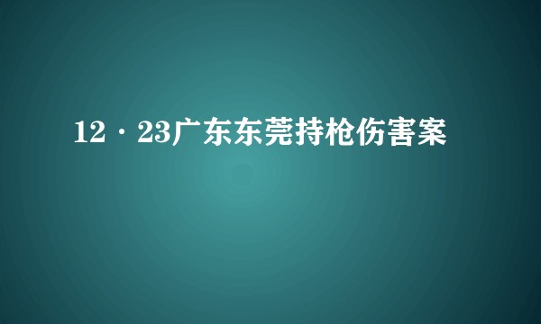 12·23广东东莞持枪伤害案