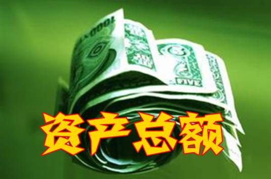 资产总额