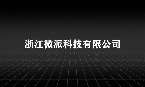 浙江微派科技有限公司