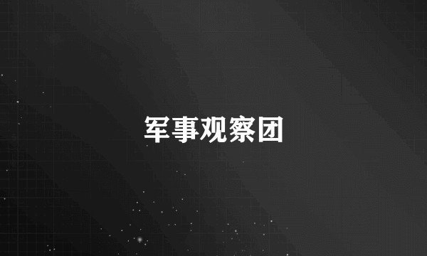 军事观察团