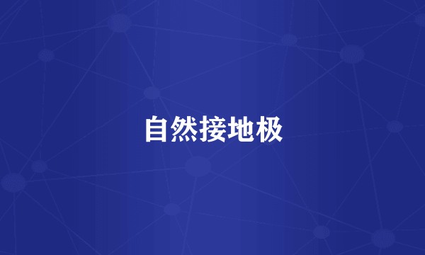 自然接地极