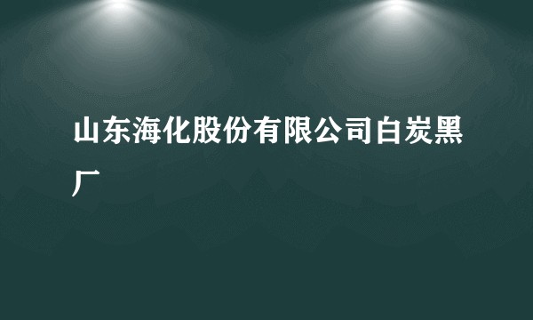 山东海化股份有限公司白炭黑厂