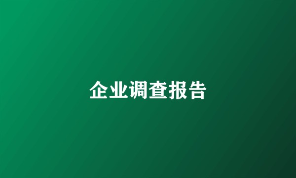 企业调查报告