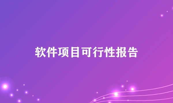 软件项目可行性报告
