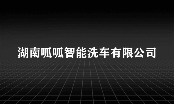 湖南呱呱智能洗车有限公司