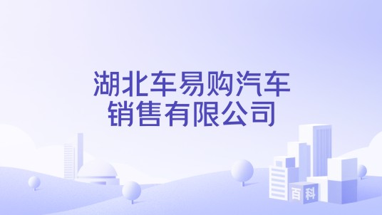 湖北车易购汽车销售有限公司