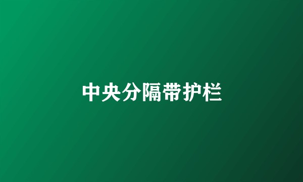 中央分隔带护栏