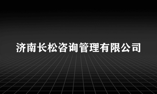 济南长松咨询管理有限公司