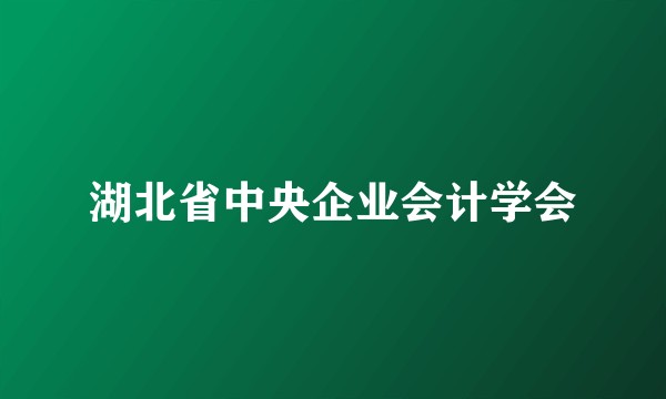 湖北省中央企业会计学会