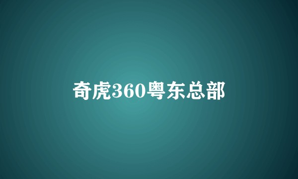 奇虎360粤东总部