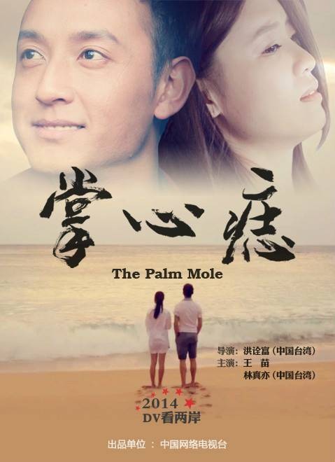 掌心痣（中国大陆与台湾2015年洪诠富执导的电影）