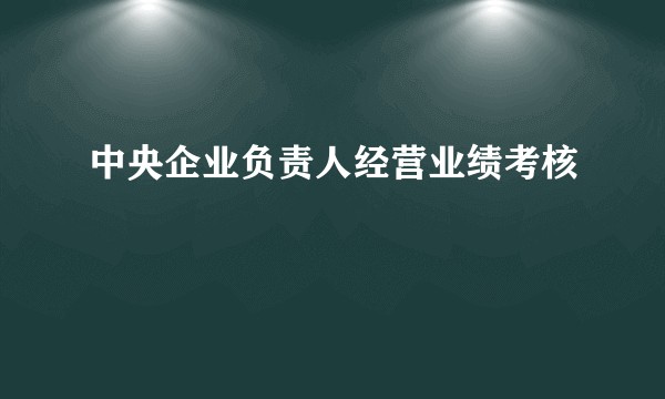 中央企业负责人经营业绩考核