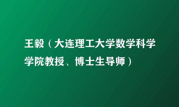 王毅（大连理工大学数学科学学院教授、博士生导师）