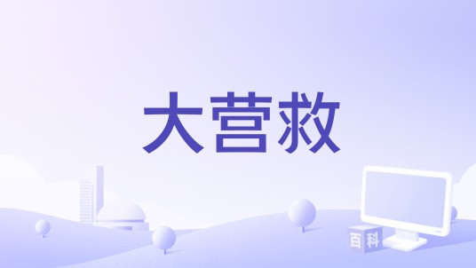 大营救（中央电视台纪录频道播出的纪录片）
