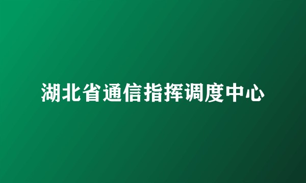 湖北省通信指挥调度中心