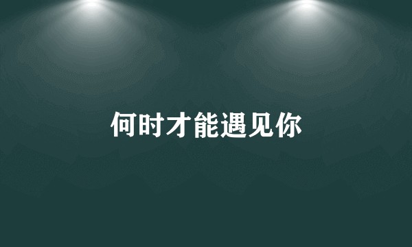 何时才能遇见你