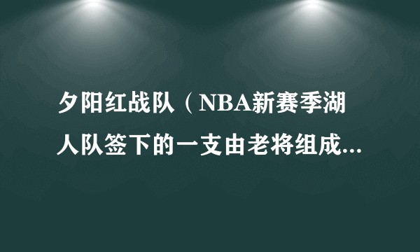 夕阳红战队（NBA新赛季湖人队签下的一支由老将组成的篮球队）