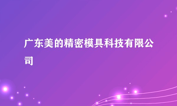 广东美的精密模具科技有限公司