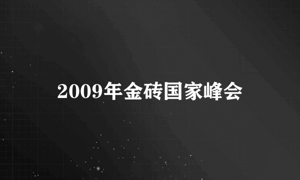 2009年金砖国家峰会