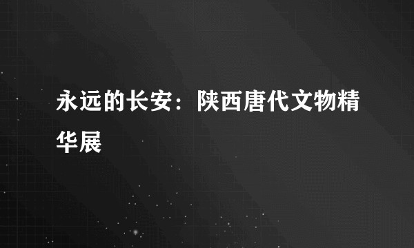 永远的长安：陕西唐代文物精华展