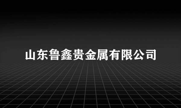 山东鲁鑫贵金属有限公司